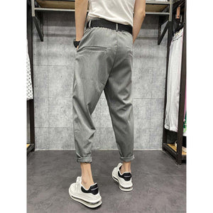 Striped Pleated Straight-leg Trousers