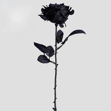 Load image into Gallery viewer, Gothic Black Fake Dried Rose Bouquet
