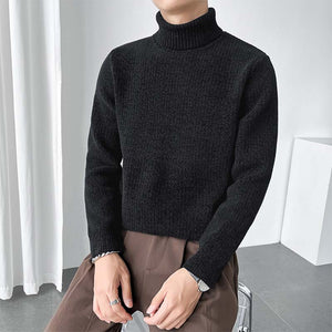 Turnable Turtleneck Slim Fit Knit Sweater