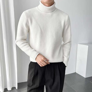 Turnable Turtleneck Slim Fit Knit Sweater