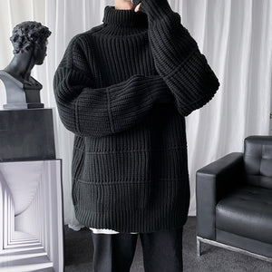 Solid Knit Turtleneck Sweater