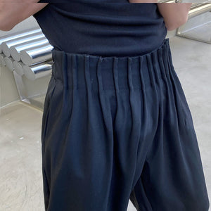 Three-dimensional Pressed Pleated Trousers