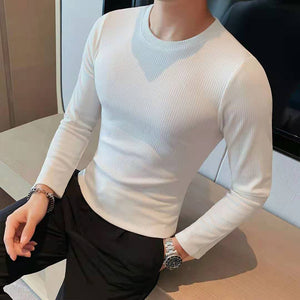 Slim Fit Crew Neck Stripe Long Sleeve T-Shirt