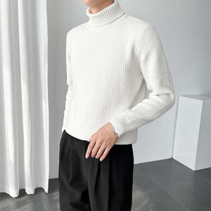 Turnable Turtleneck Slim Fit Knit Sweater